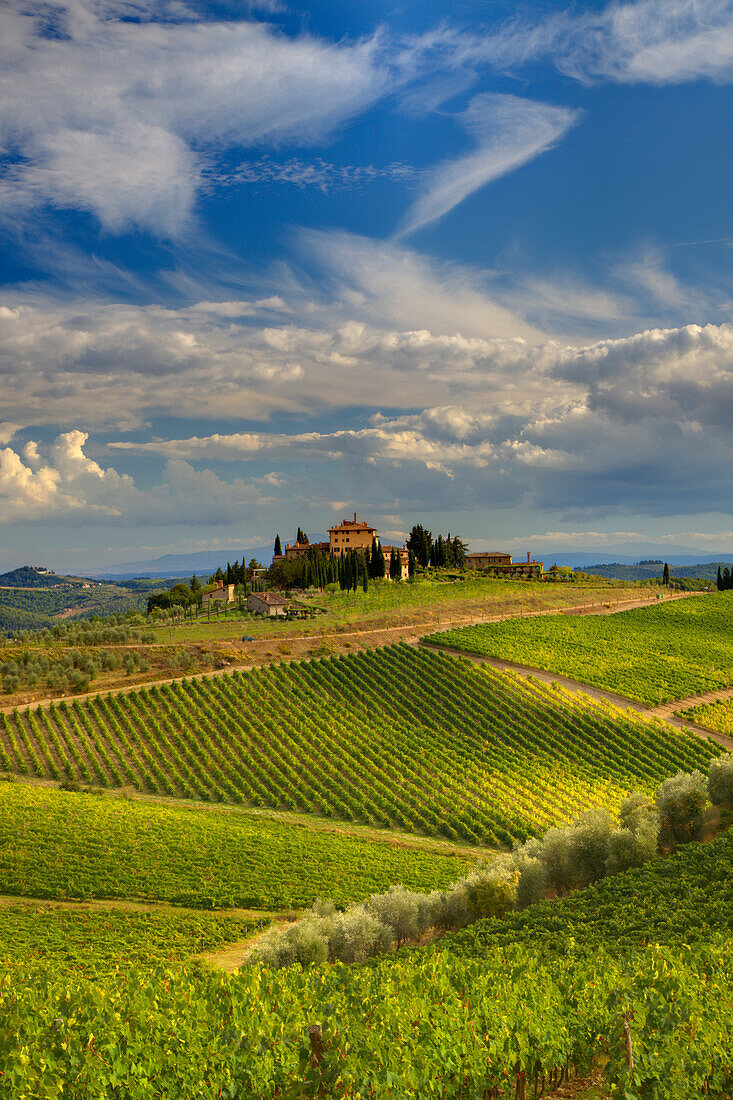 Italien, Toskana. Blick auf die Weinberge und eine Villa in der Region Chianti in der Toskana, Italien.