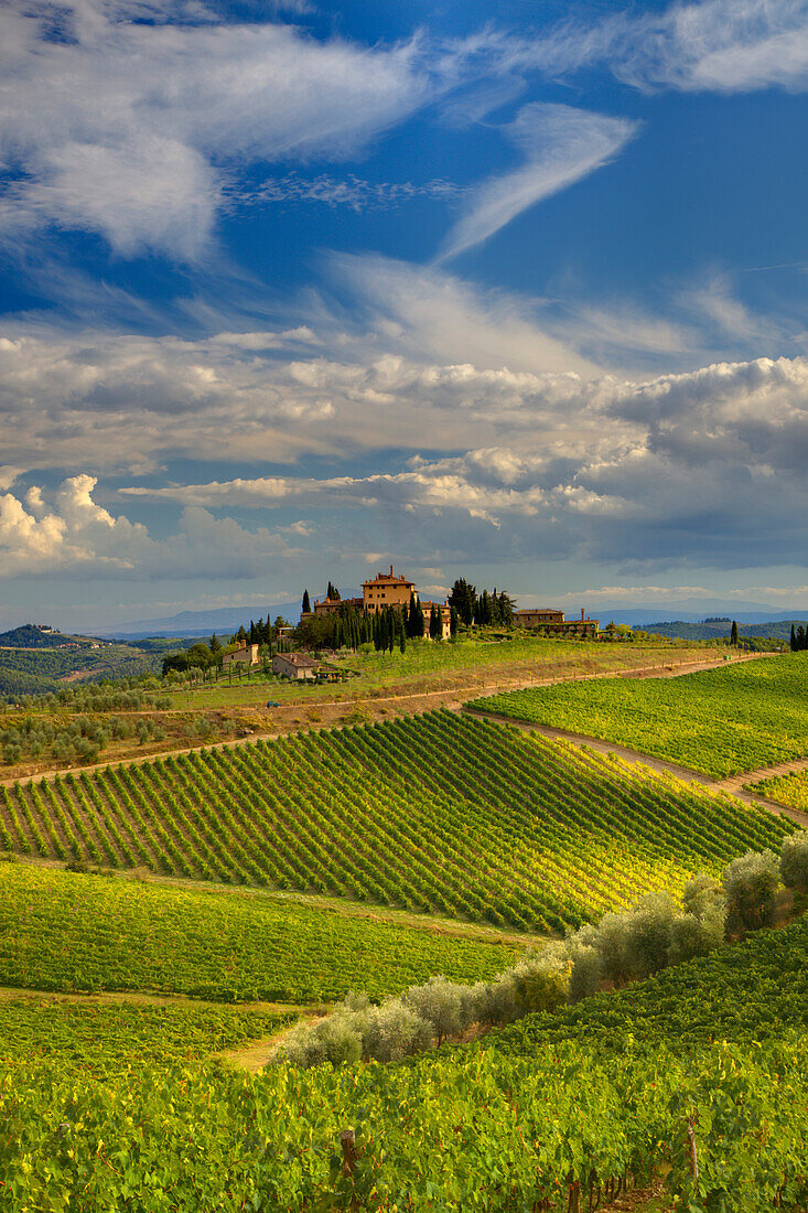 Italy, Tuscany. A view of the vineyards and villa in Chianti region of Tuscany, Italy.