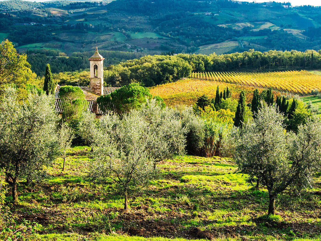 Europe; Italy; Tuscany; Pieve di Santa Maria Novella Near Radda in Chianti