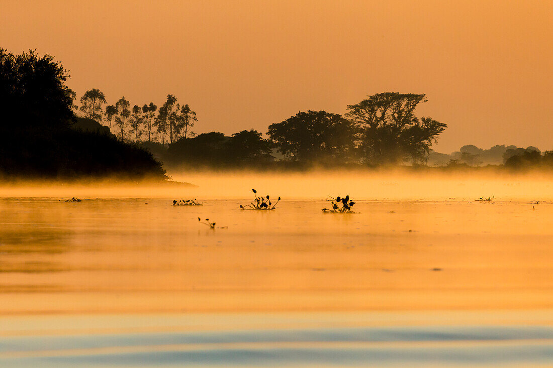 Südamerika, Brasilien, Mato Grosso, Das Pantanal, Rio Cuiaba. Nebel auf dem Rio Cuiaba in der Morgendämmerung.