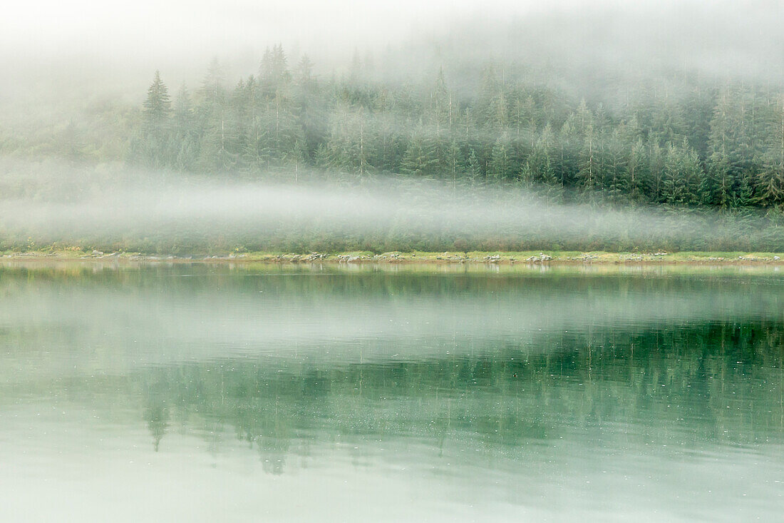 USA, Alaska, Tongass National Forest. Foggy shoreline and water reflection.