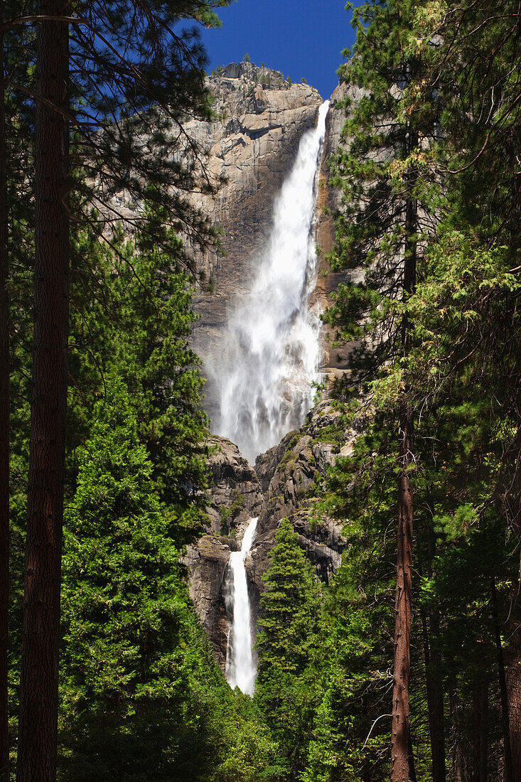 USA, California, Yosemite National Park. Yosemite Falls landscape.