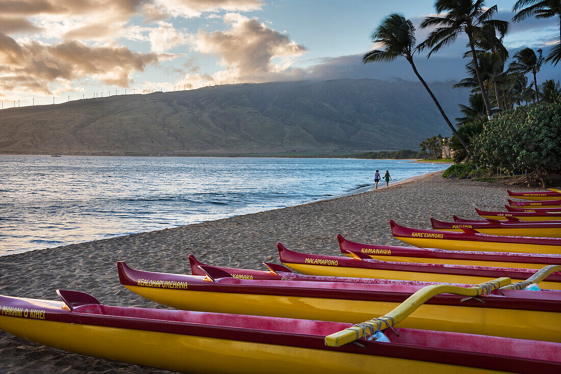 Hawaii, Maui, Kihei. Traditional Hawaiian outrigger canoes in the foreground with people on Ka Lae Pohaku beach and palm trees in the background.