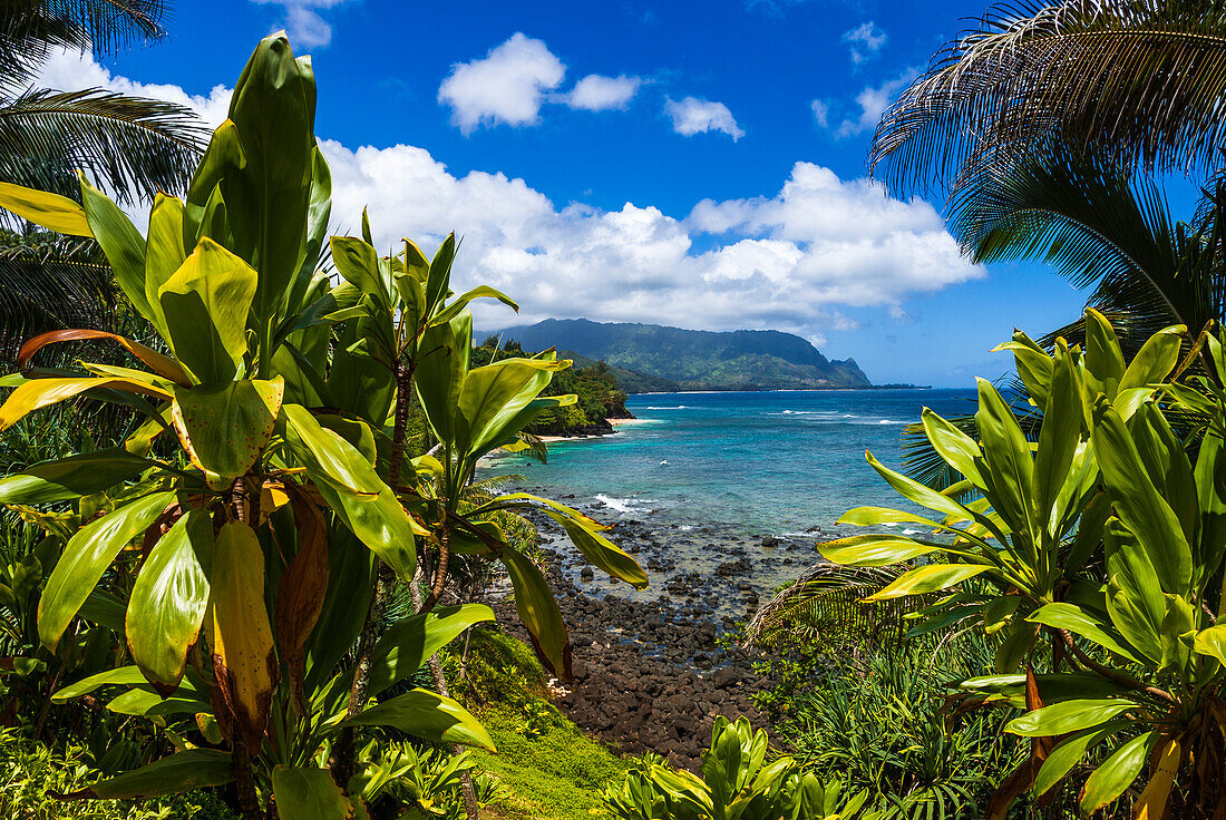 Hideaways Beach and the Na Pali Coast through tropical foliage, Island of Kauai, Hawaii USA