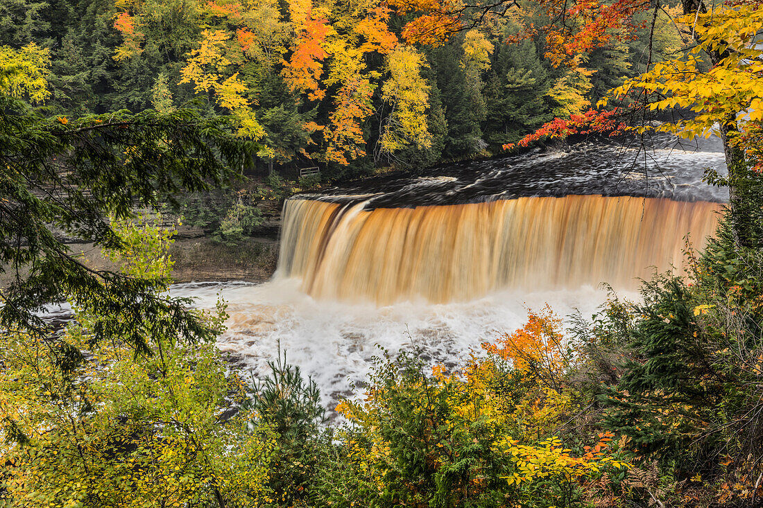 Tahquamenon Falls und Herbstfarben, Obere Halbinsel von Michigan