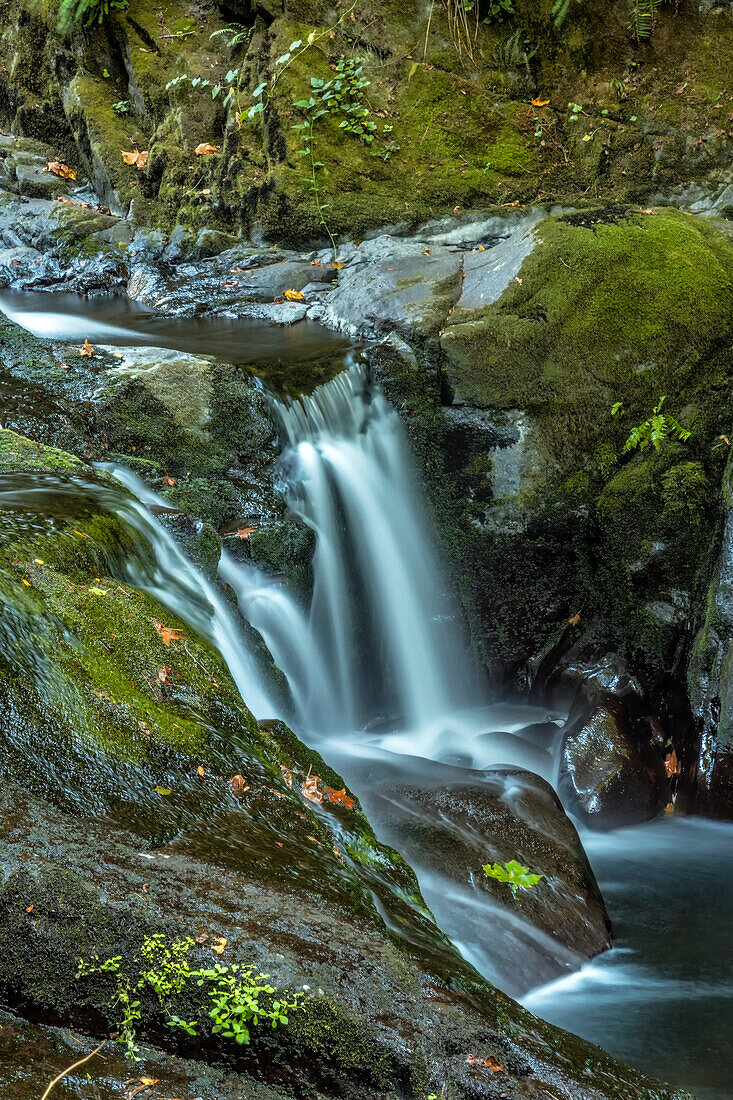 USA, Oregon, Florence. Waterfall in stream.