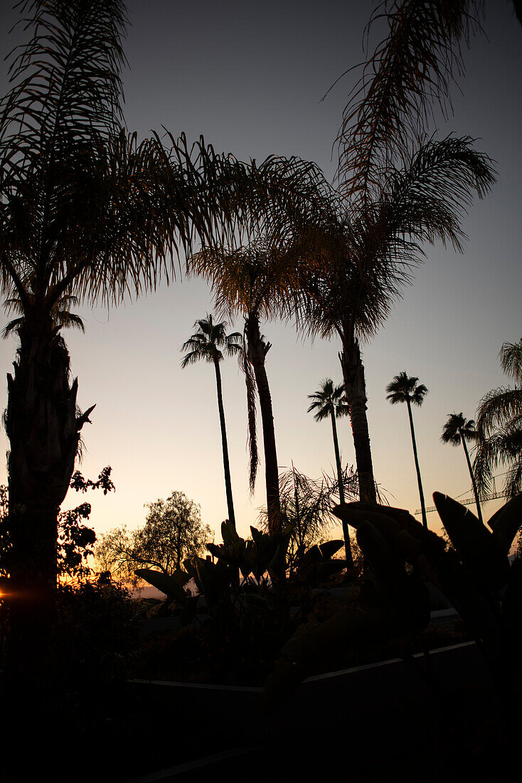 Sonnenuntergang Los Angeles, Kalifornien, USA