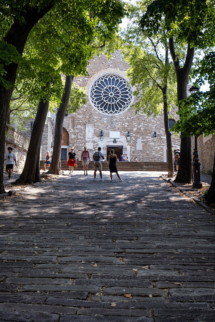 View of the Cathedral di San Giusto, Veneto, Veneto, Friuli-Venezia Giulia, Trieste, Italy, Europe