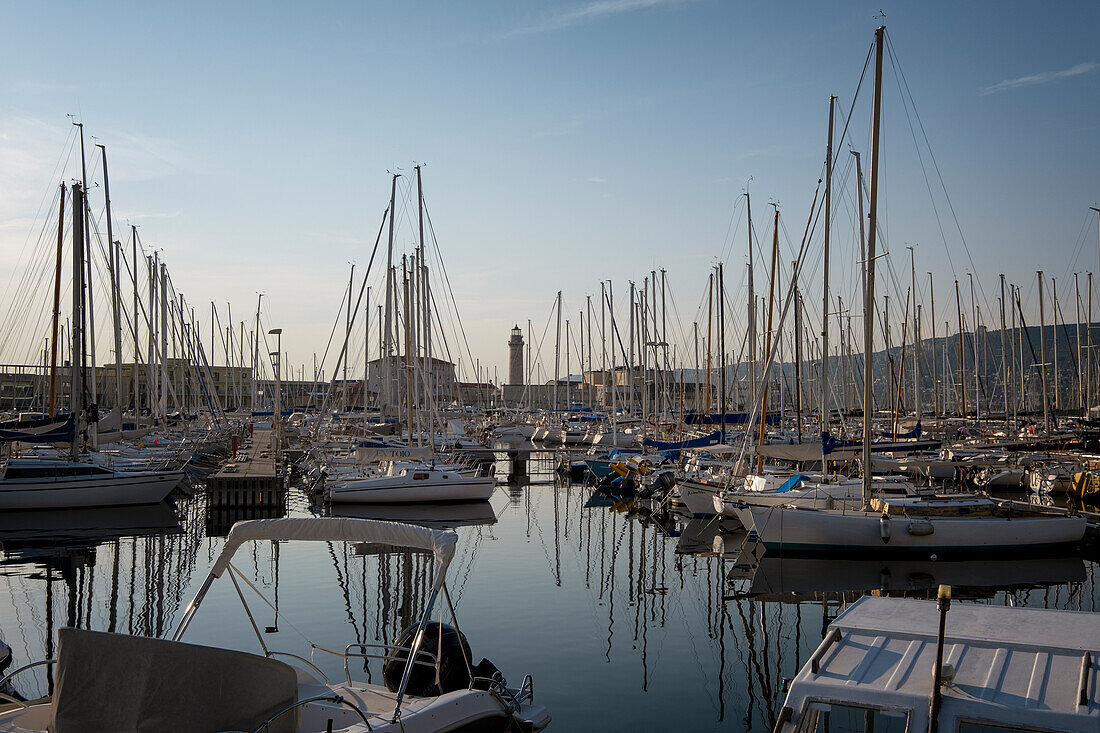 View of the port of Trieste. Trieste, Friuli Venezia Giulia, Italy, Europe