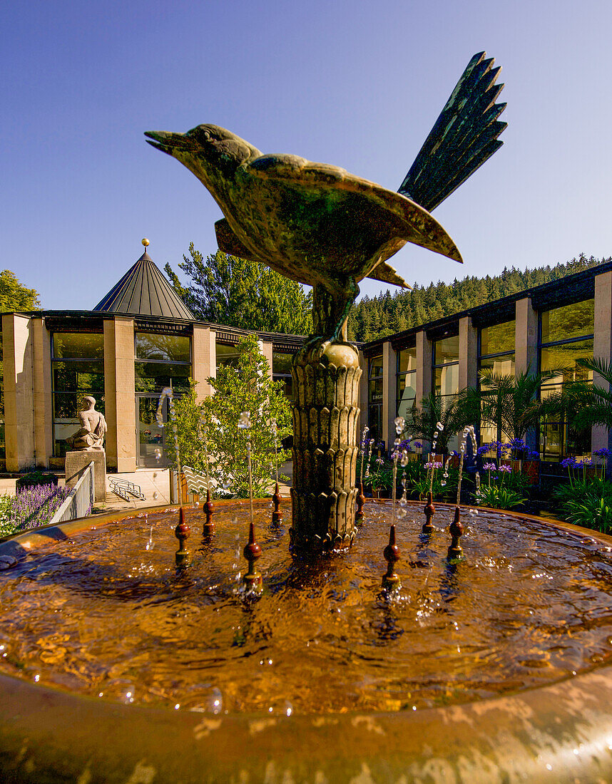 Elsterbrunnen in front of the foyer in the Kurpark, Bad Elster, Vogtland, Saxony, Germany