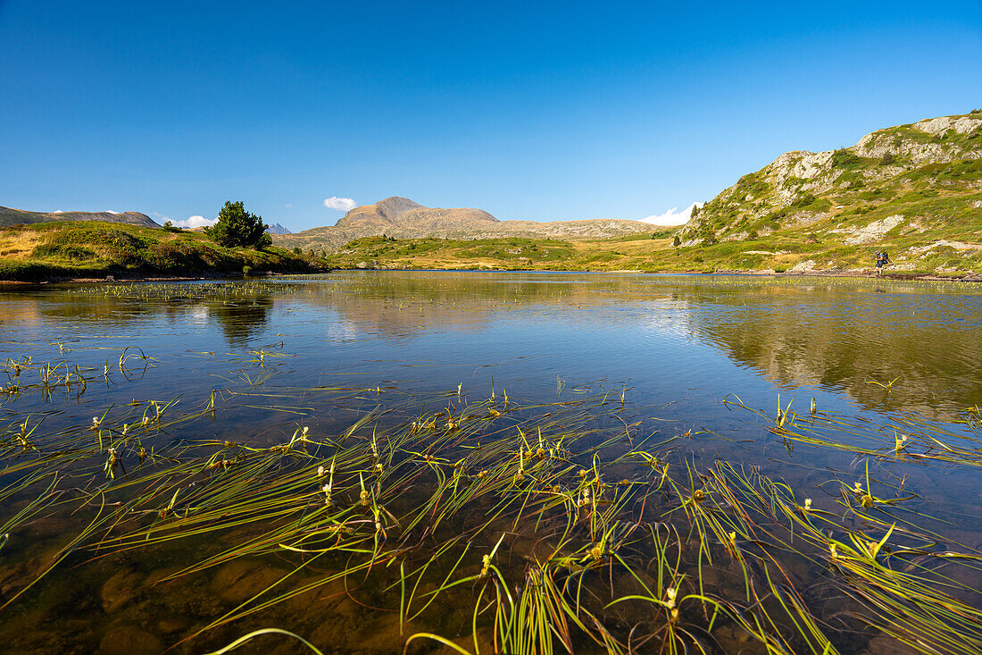 Impressionen einer Wanderung im Sommer zwischen Bergseen auf dem Plateau des Lacs, Isère, Rhône Alpes, Frankreich