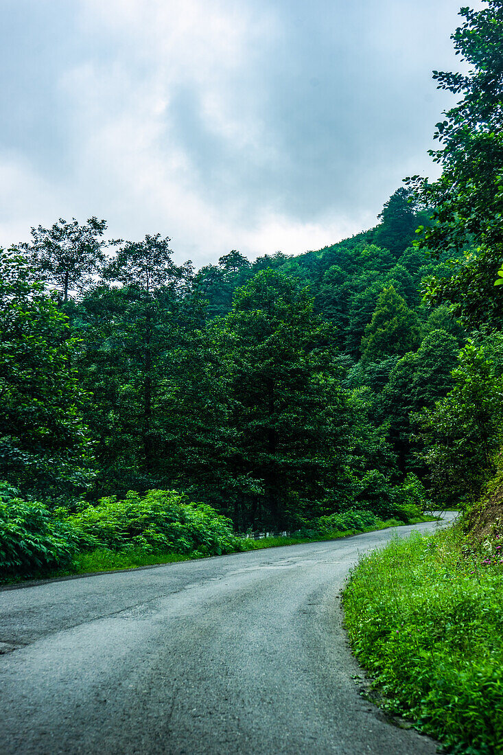 Straße in Berglandschaft im bekannten Erholungsgebiet der Region Guria im westlichen Teil von Georgien