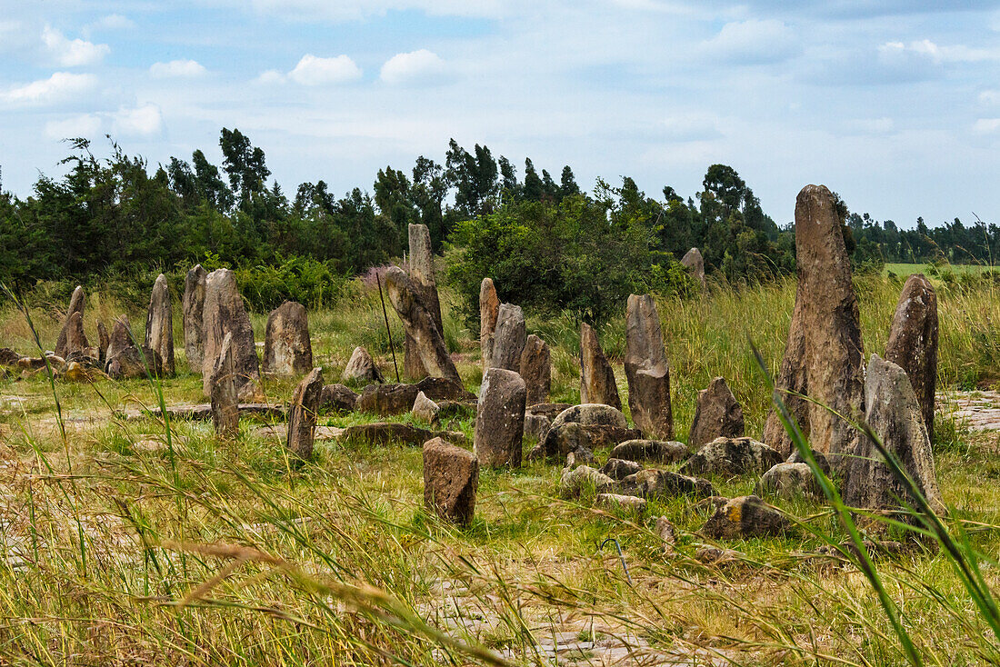 Tiya, an archaeological site of carved stelae, UNESCO World Heritage Site, Ethiopia