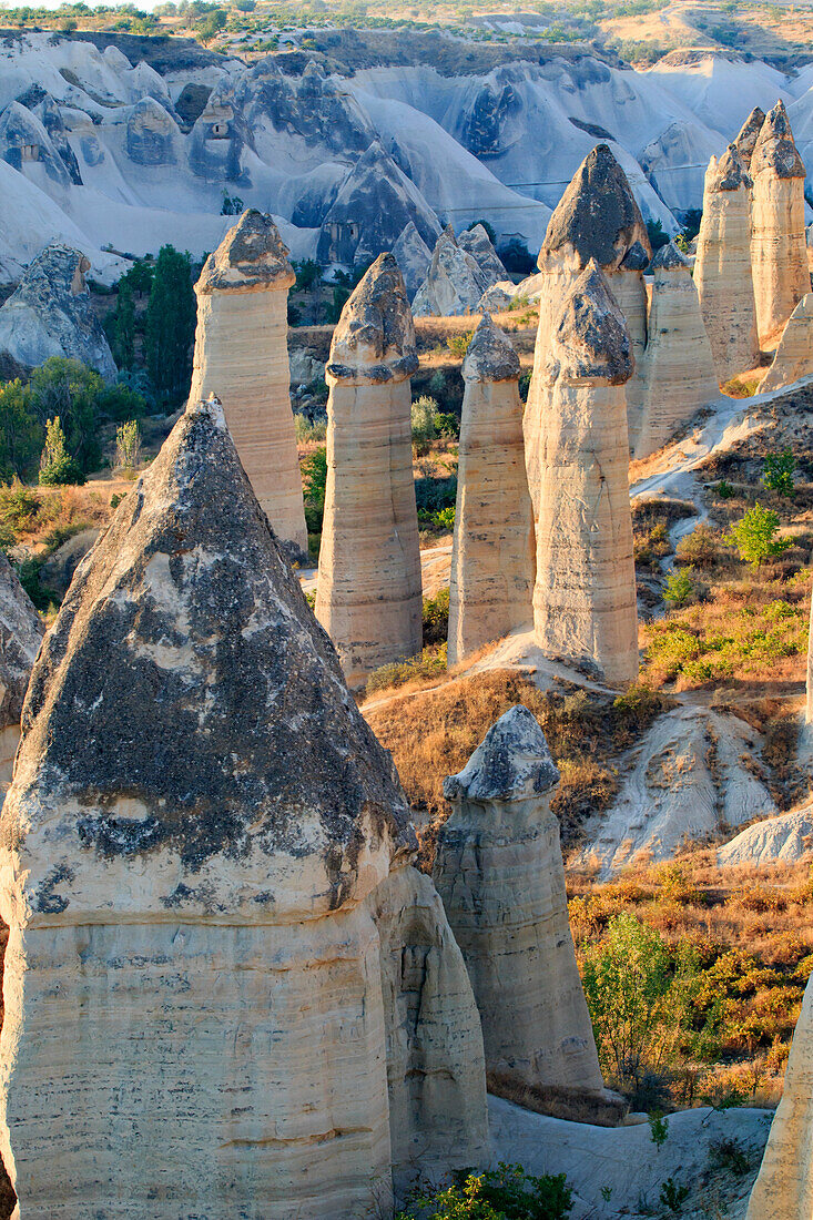 Türkei, Anatolien, Kappadokien, Goreme. "Fairy Chimneys" oder Felsformationen und Feldlandschaften im Red Valley (auch "Love Valley" genannt) im Goreme-Nationalpark, UNESCO-Weltkulturerbe.