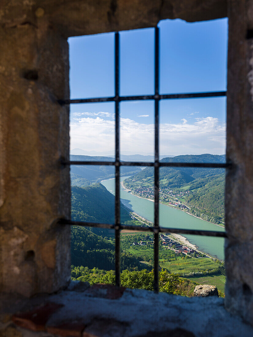 Burgruine Aggstein hoch über der Donau in der Wachau. Die Wachau ist ein berühmtes Weinbaugebiet und gehört als Kulturlandschaft Wachau zum UNESCO-Welterbe. Österreich (Großformate verfügbar)