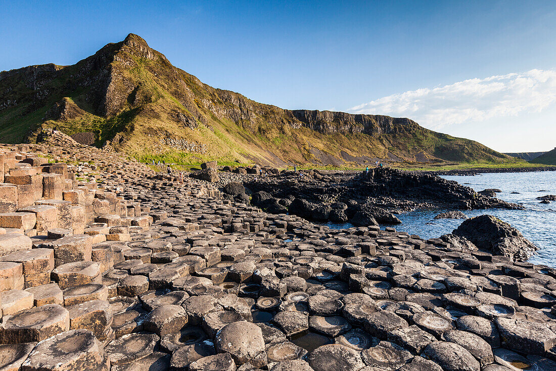 UK, Northern Ireland, County Antrim, Bushmills, Giants Causeway, Unesco World Heritage Site, coastal rock formation of basalt at dusk