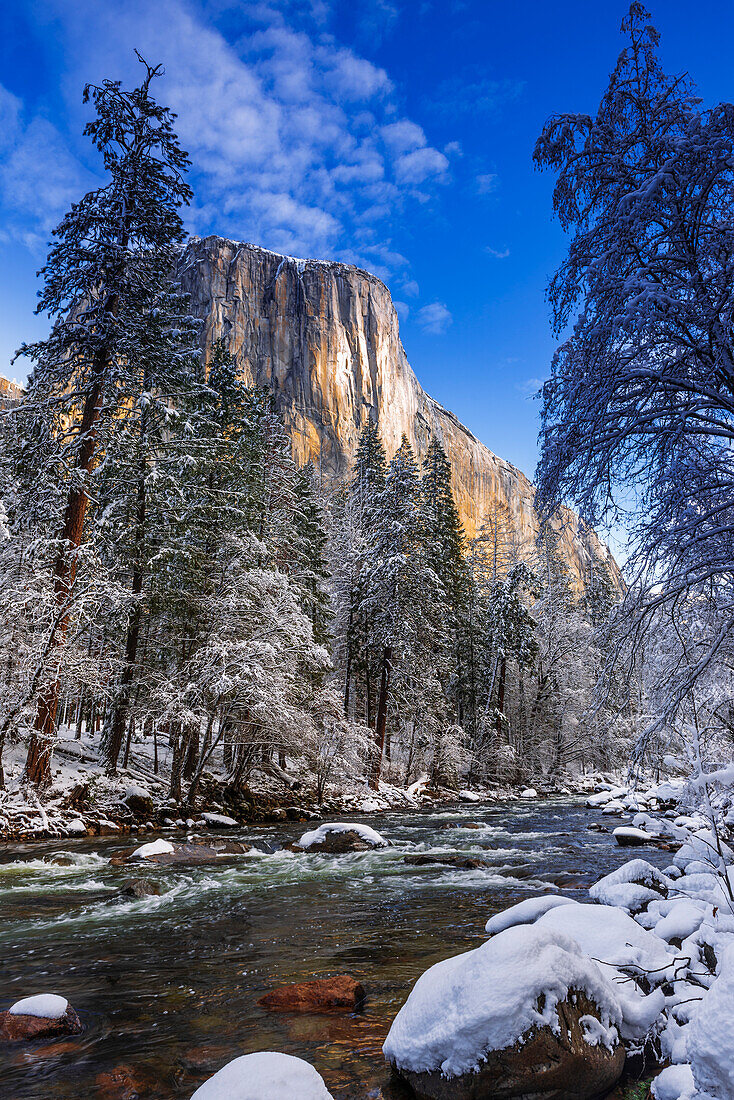 El Capitan above the Merced River in winter, Yosemite National Park, California, USA.