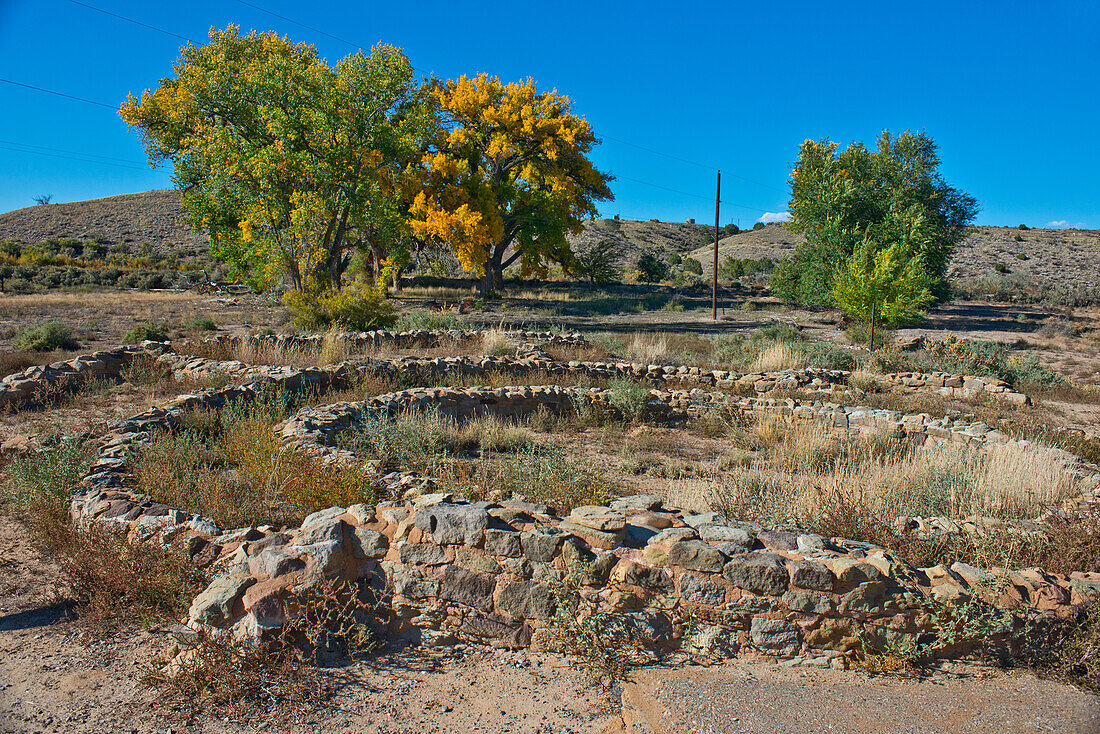 USA, New Mexico, Aztec Ruins National Monument, West Ruin with over 500 rooms and three stories, Small Kivas