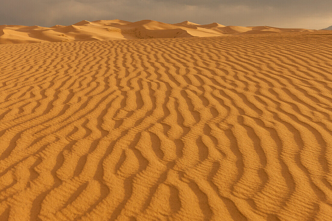 Sanddünen bei Sonnenuntergang. Wüste Gobi. Mongolei.