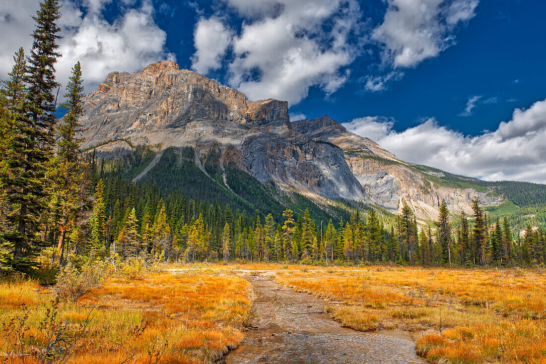 Canada, Alberta, Yoho National Park. The President Range mountain and water landscape