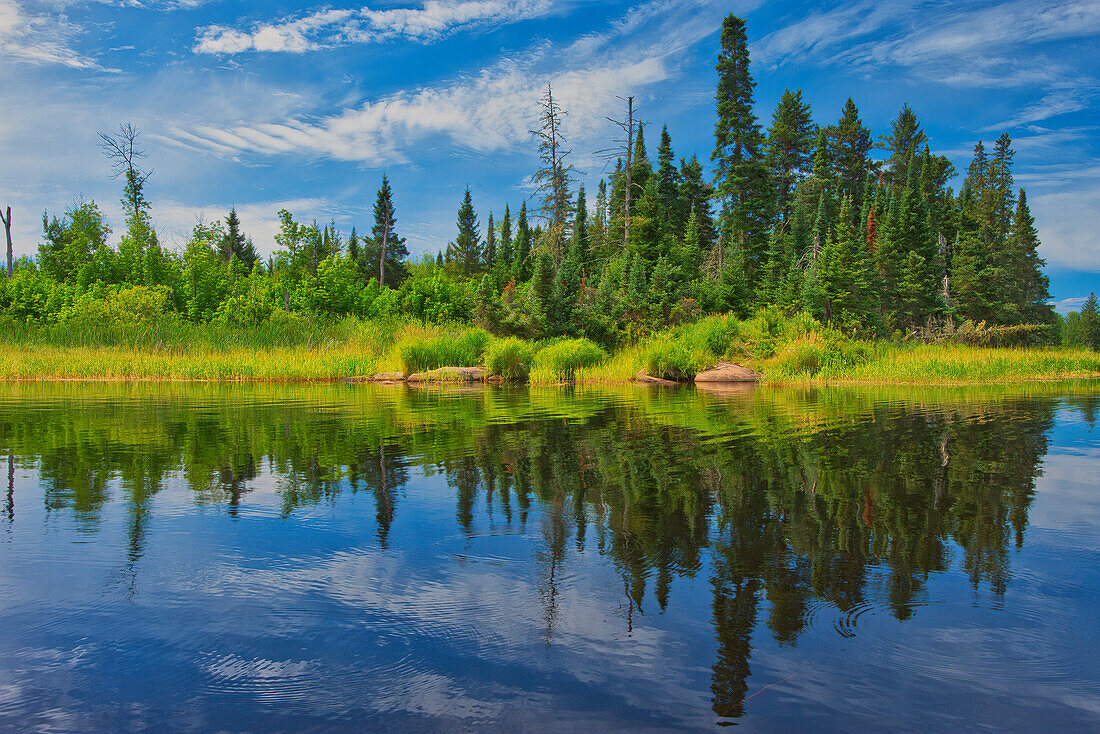 Kanada, Manitoba, Whiteshell Provincial Park. Fluss- und Waldlandschaft.
