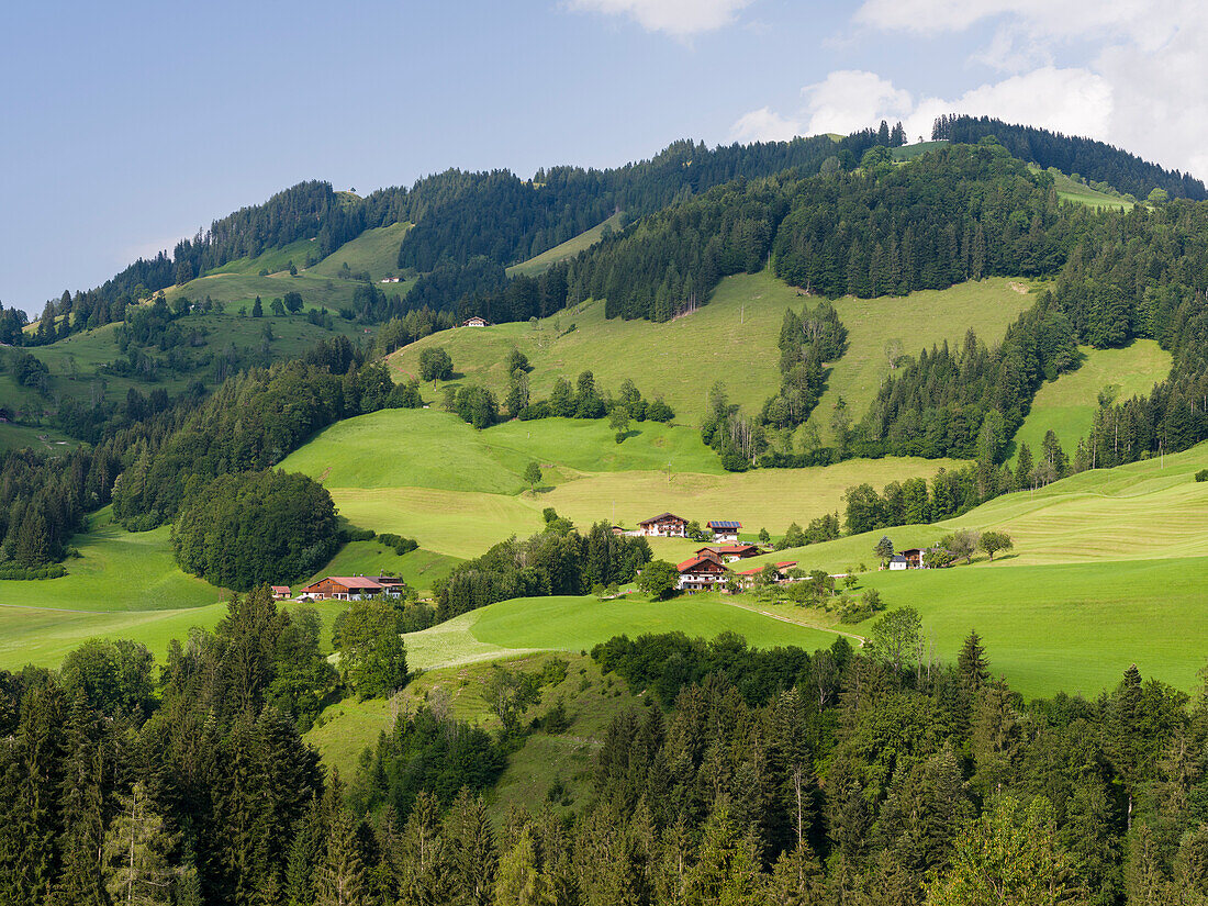 Traditional farms in the Tiroler Kaiserwinkl near village Wildbichl. Europe, Austria, Tyrol