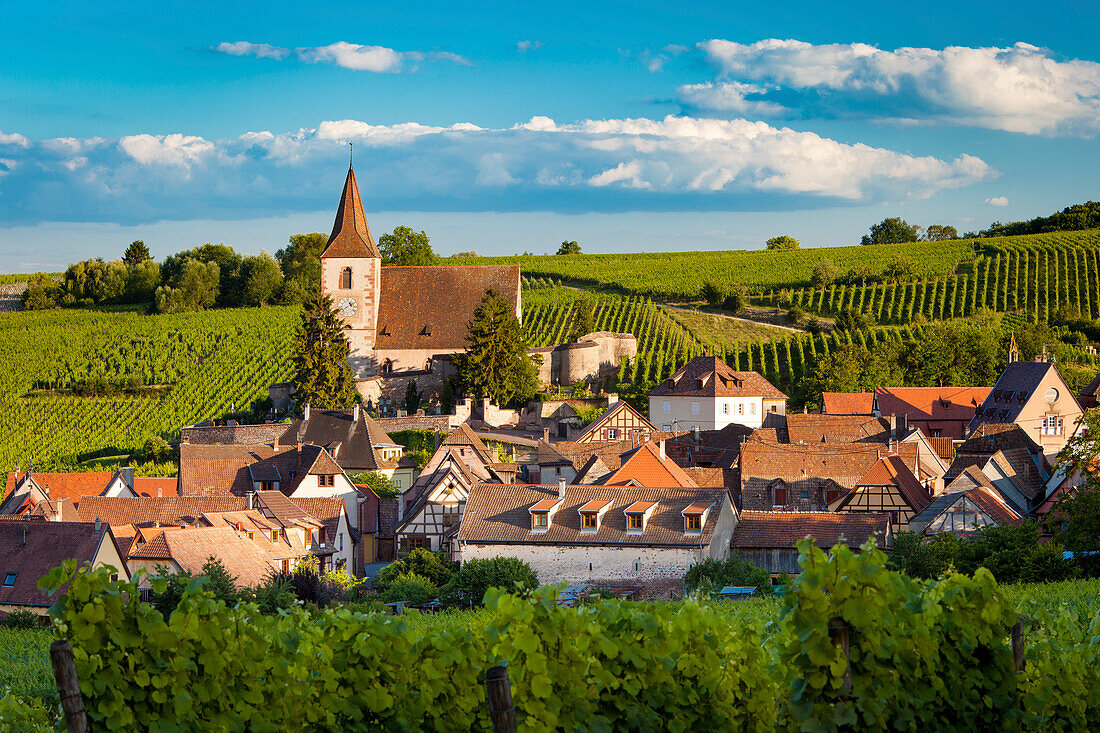 View over town of Hunawihr along the wine route, Alsace Haut-Rhin, France