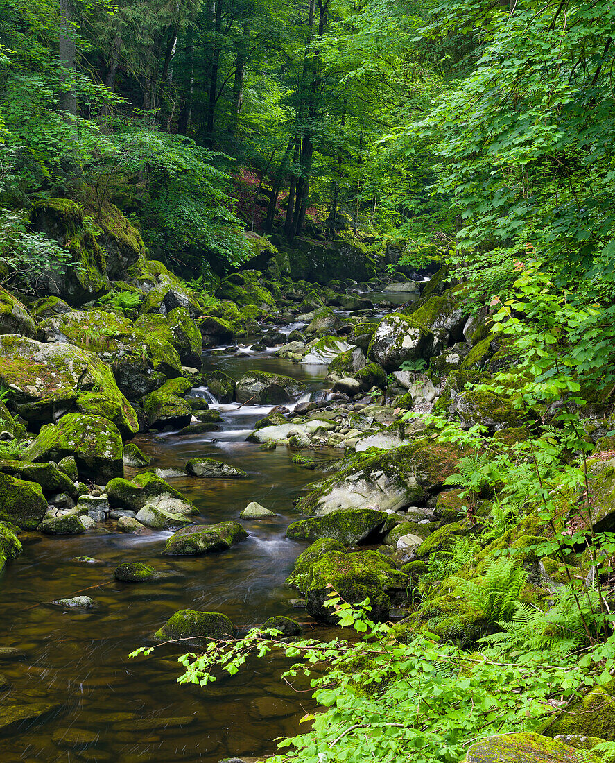 Tal der Wolfsteiner Ohe (Buchberger Leite) im Bayerischen Wald. Europa, Deutschland, Bayern