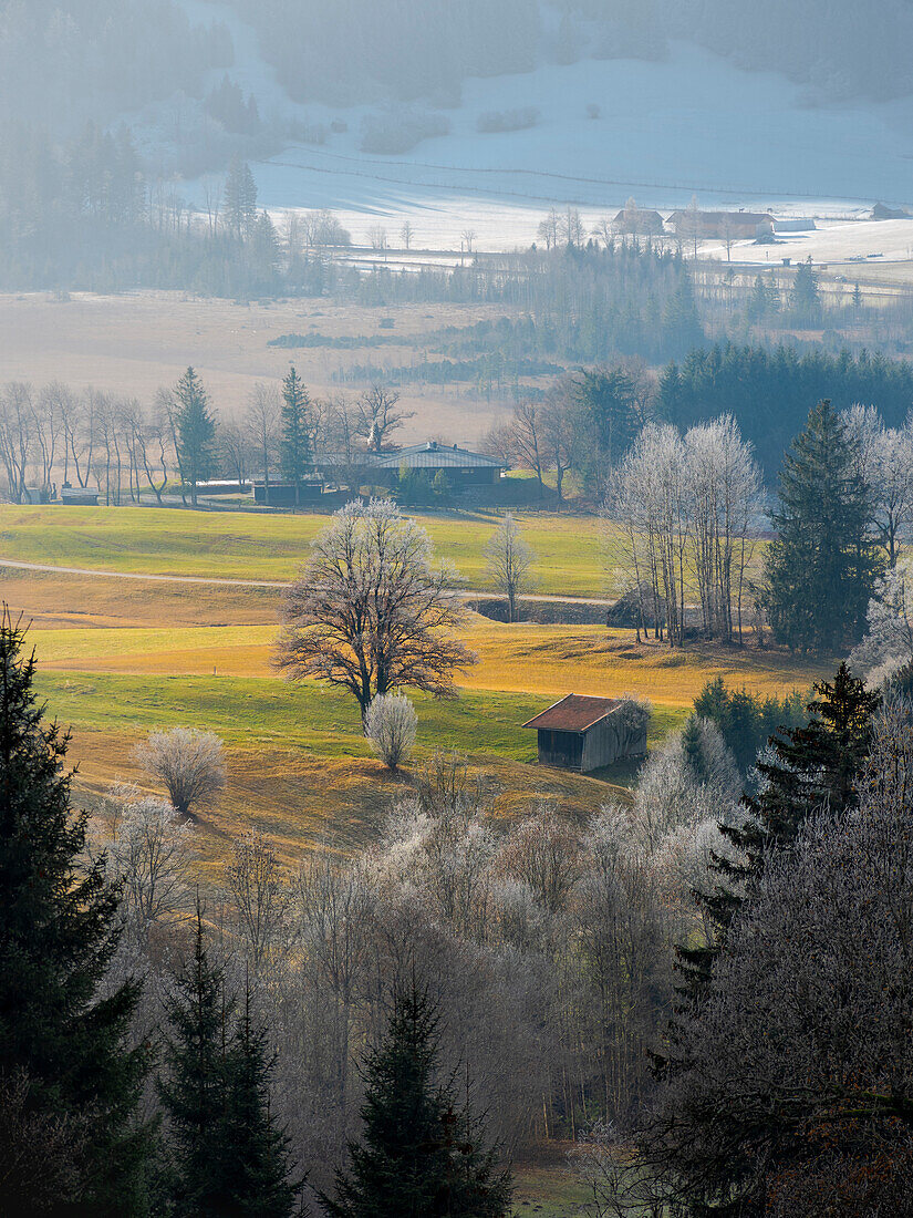 Landscape in the Bavarian alps near Unterammergau in the Werdenfelser Land (Werdenfels county). Europe, Germany, Bavaria