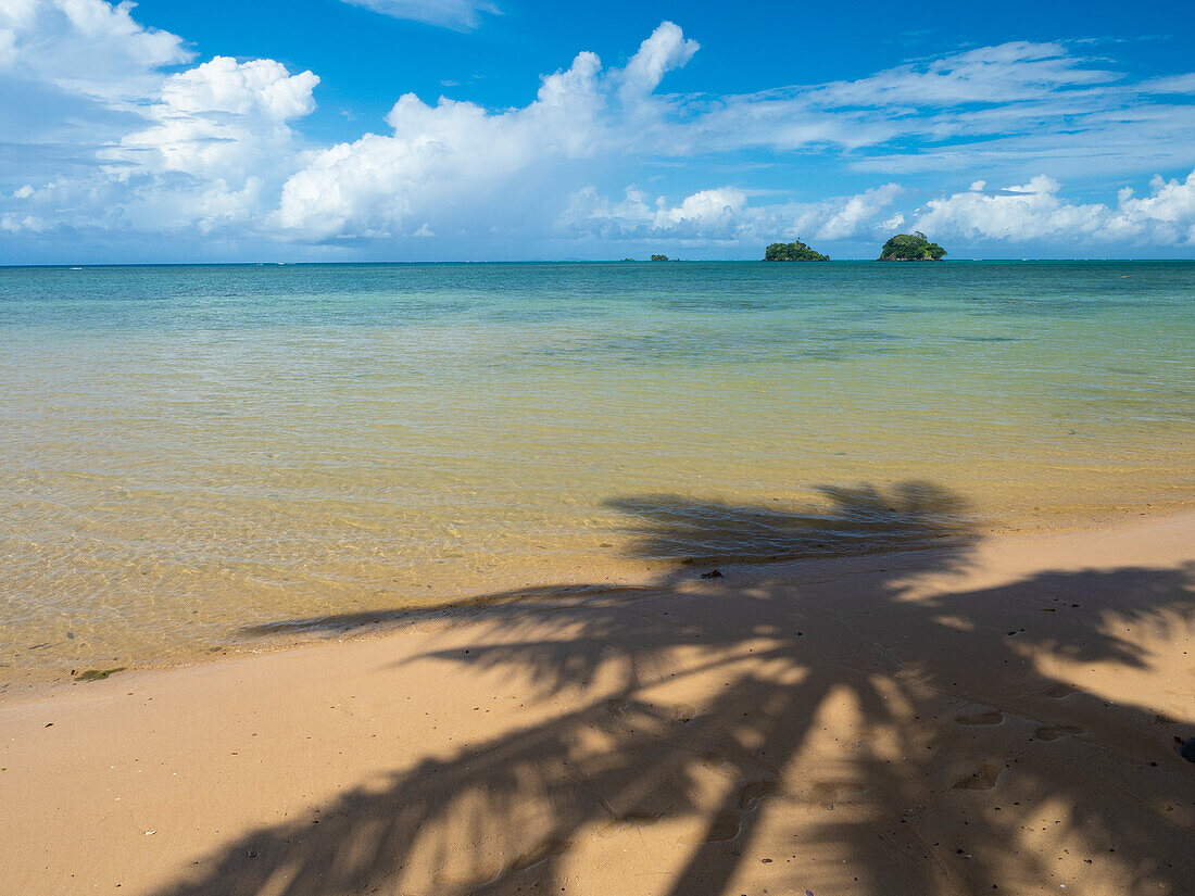 Fidschi, Insel Taveuni. Silhouette einer Palme am Sandstrand mit blauem Himmel.