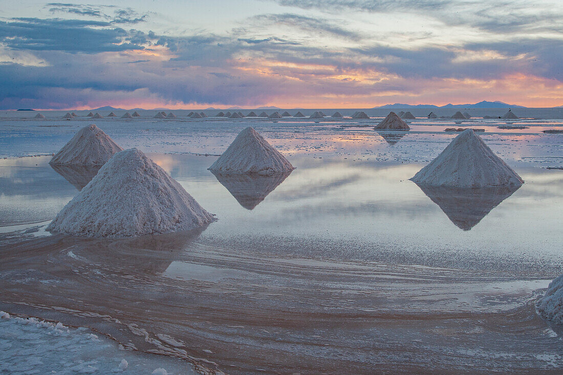 Bolivia, Uyuni, Salar de Uyuni. Cones of salt have been scraped up so that the salt will dry before being harvested.