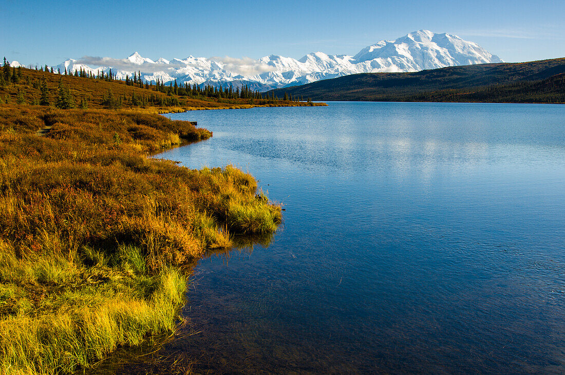 USA, Alaska, Denali Nationalpark, Herbstfarben, Denali