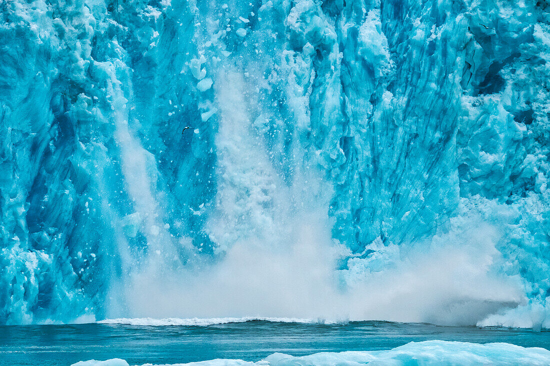 Kalbender Gletscher, LeConte Bay, Alaska, USA