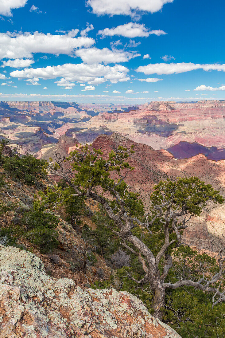 USA, Arizona. Blick vom Navajo Point auf den Südrand des Grand Canyon National Park.