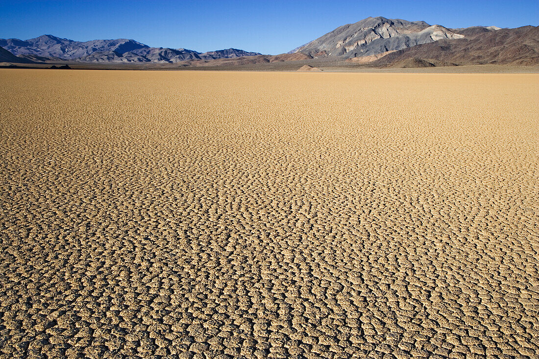 USA, California, Death Valley National Park. Arid playa