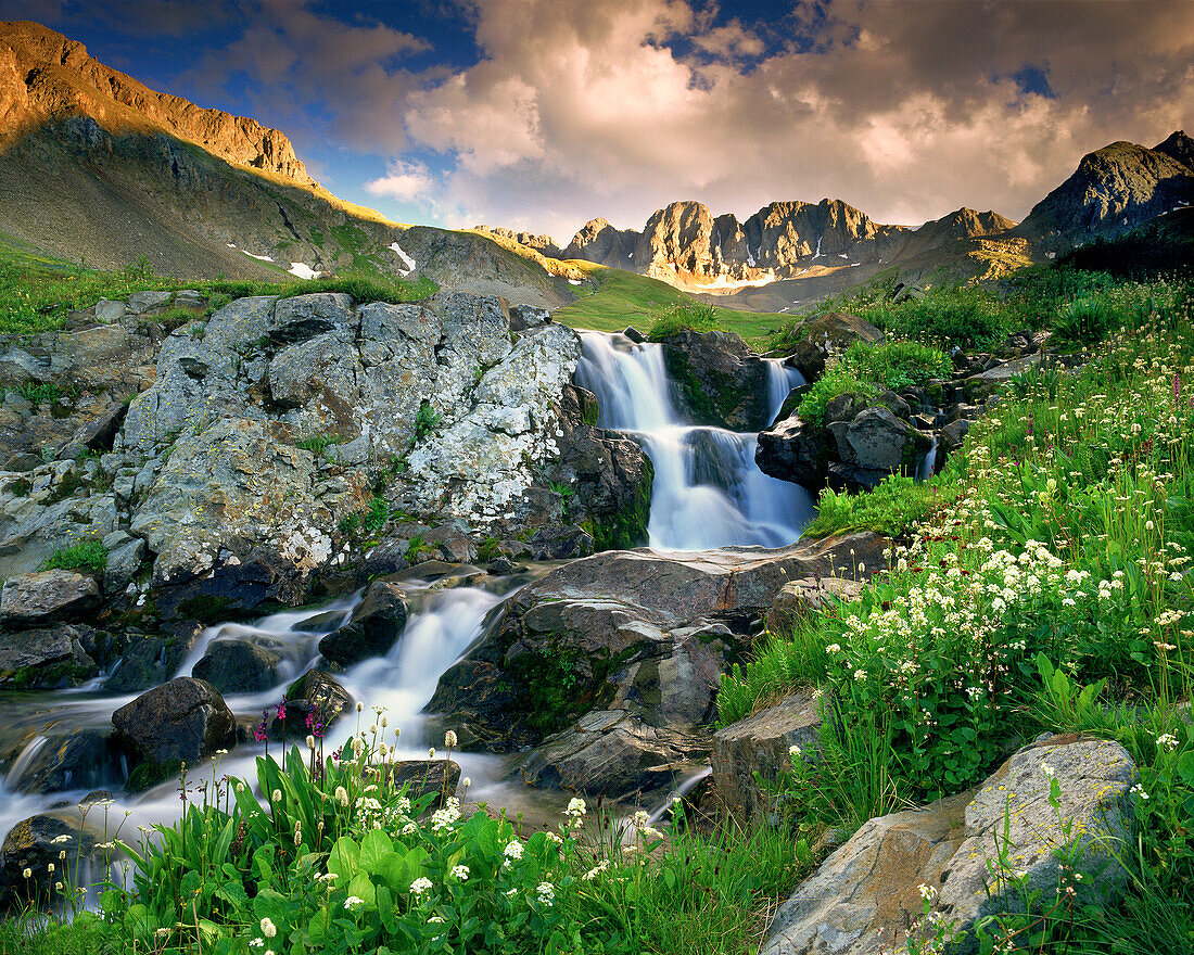 A spring cascade with white wildflowers in American Basin in the Colorado Rocky Mountains