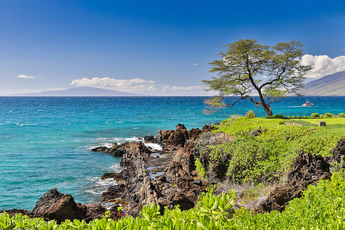 Coastline along Wailea Beach Path near Polo Beach Park, Maui, Hawaii.
