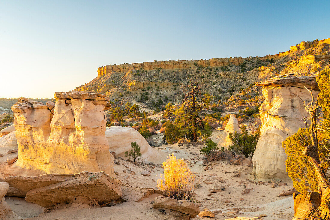 USA, New Mexico, Ojito-Wildnis. Erodierte Wüstenfelsen.