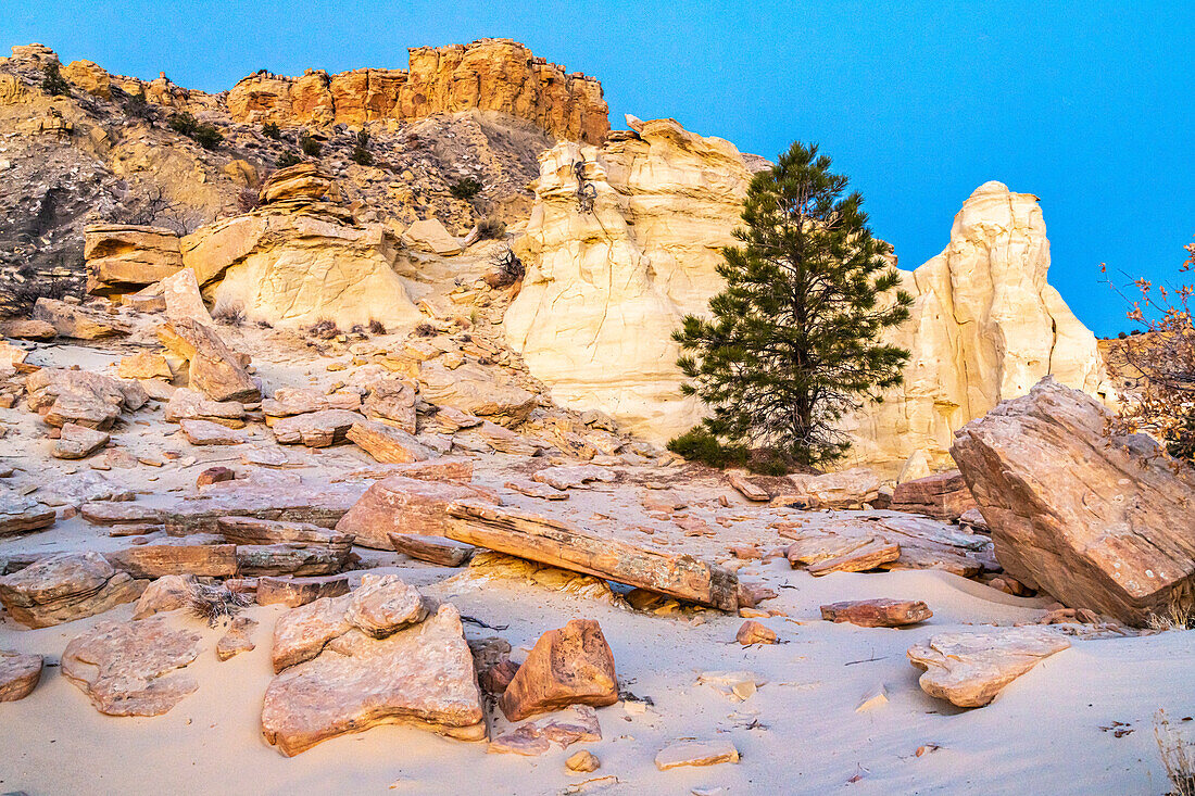 USA, New Mexico, Ojito-Wildnis. Wüstenlandschaft mit Felsen und Formationen.