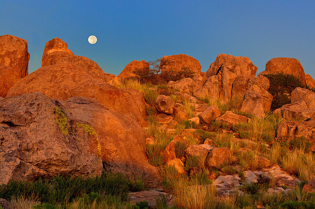 USA, New Mexico, City of Rocks State Park. Vollmond geht über Granitfelsen unter, die vom Sonnenaufgang beleuchtet werden.