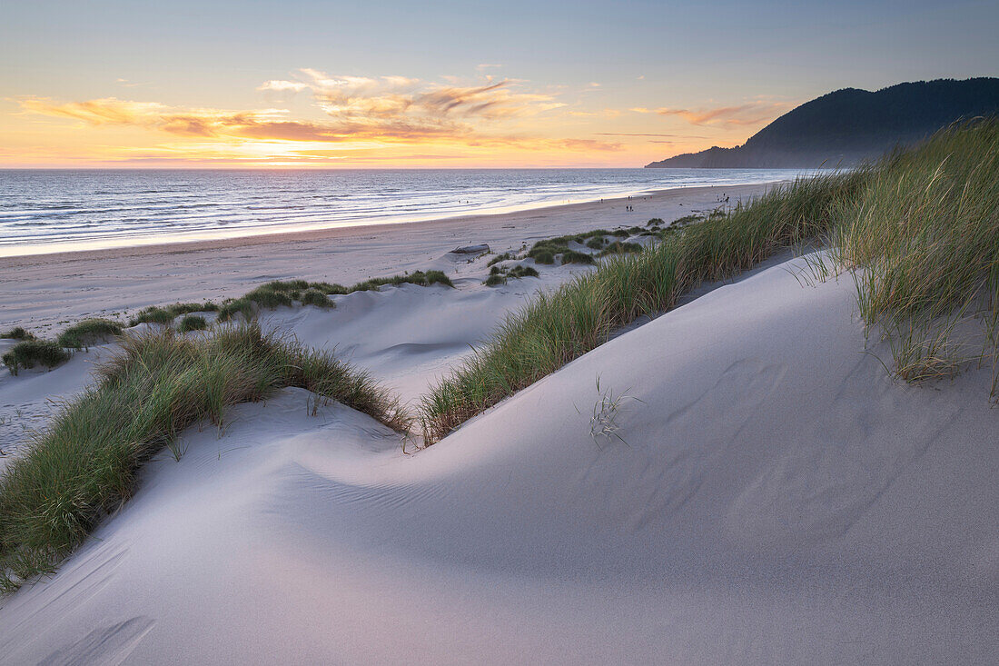 Dünen und Dünengras bei Sonnenuntergang. Nehalem State Park, Oregon.