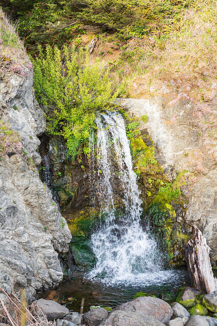 Secret Beach, Oregon, USA. Small creek flowing onto Secret Beach.