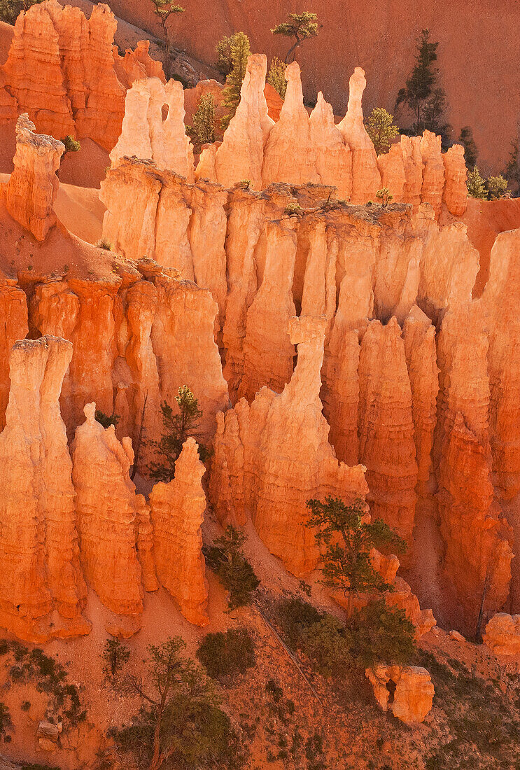 USA, Utah, Bryce-Canyon-Nationalpark. Sonnenaufgang auf Hoodoo-Formationen aus Sandstein.