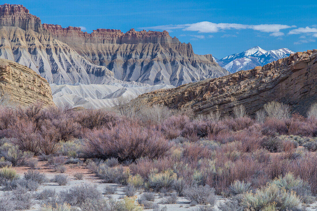 USA, Utah, Panoramic view of Bear's Ears National Monument