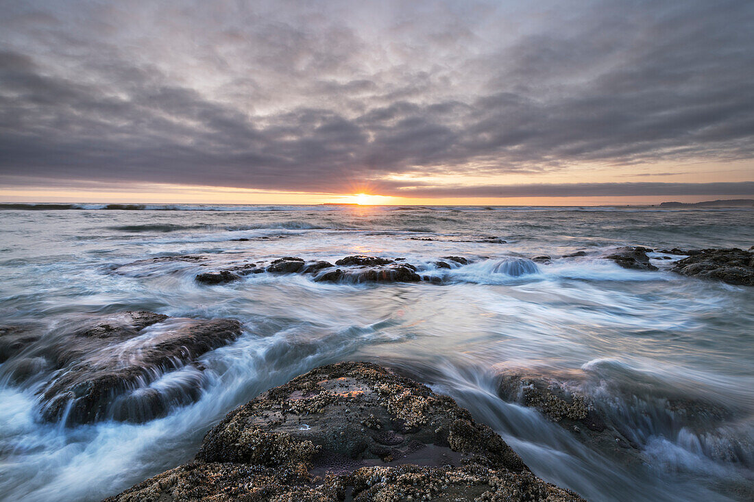 Kalaloch Beach 4 at sunset, Olympic National Park, Washington State