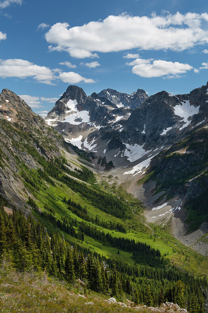 Upper Fisher Creek basin. Fisher Peak, Black Peak and Mount Arriva are in the distance. North Cascades National Park, Washington State.