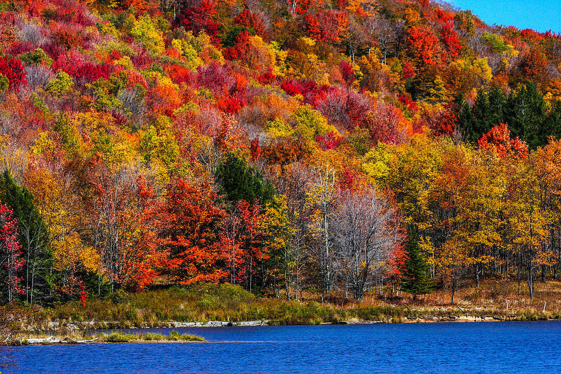 Canaan Valley, West Virginia. Allegheny autumn forest and a blue lake