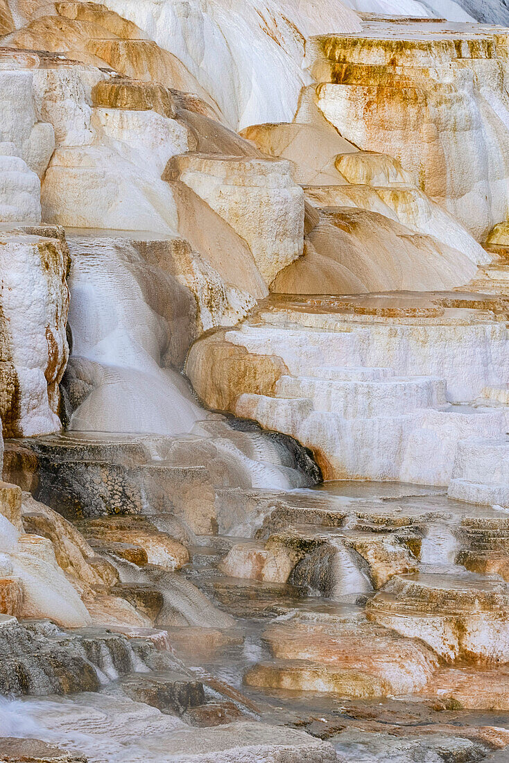 Colorful terrace, Canary Spring, Mammoth Hot Springs, Yellowstone National Park, Wyoming