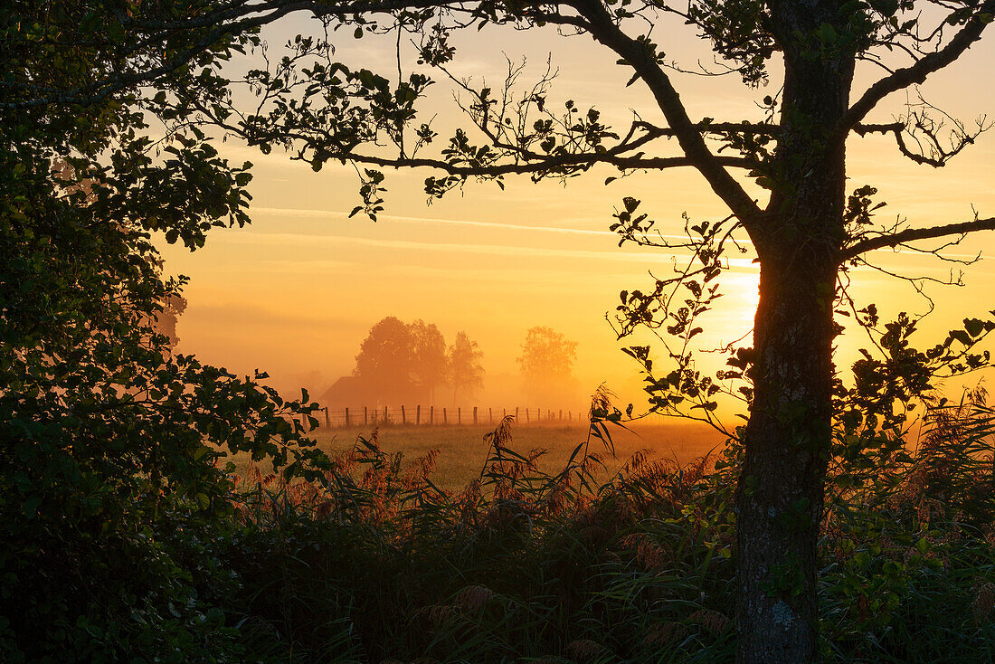 Picturesque September morning near Unterhausen, Weilheim, Upper Bavaria, Bavaria, Germany
