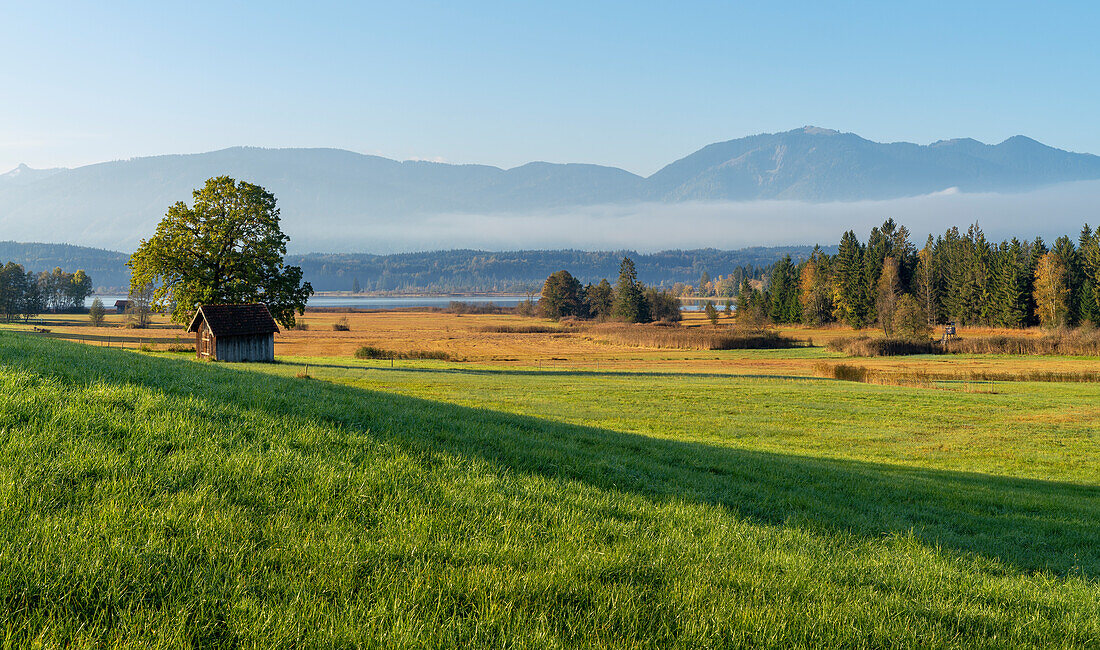 Sonniger Oktobermorgen am Ufer des Staffelsees, Uffing, Bayern, Deutschland, Europa